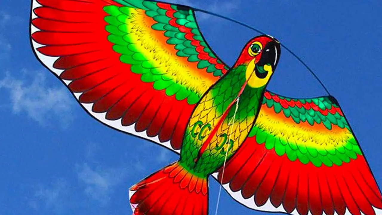 Article header image showing a parrot animal kite