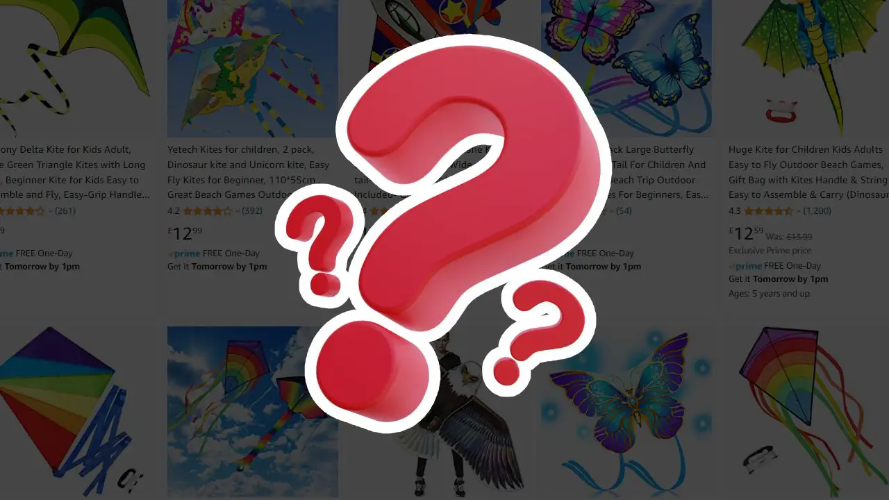 Article header image for What are the different types of kites