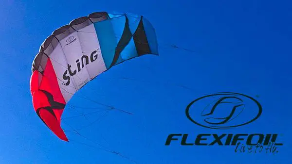 Flexifoil Power Kite Sting Sport Foil 2.6m Review Article Image